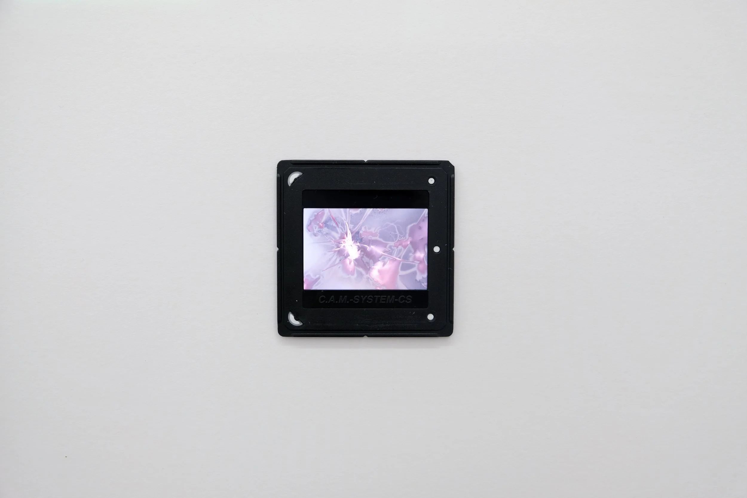DSCF6850.jpg