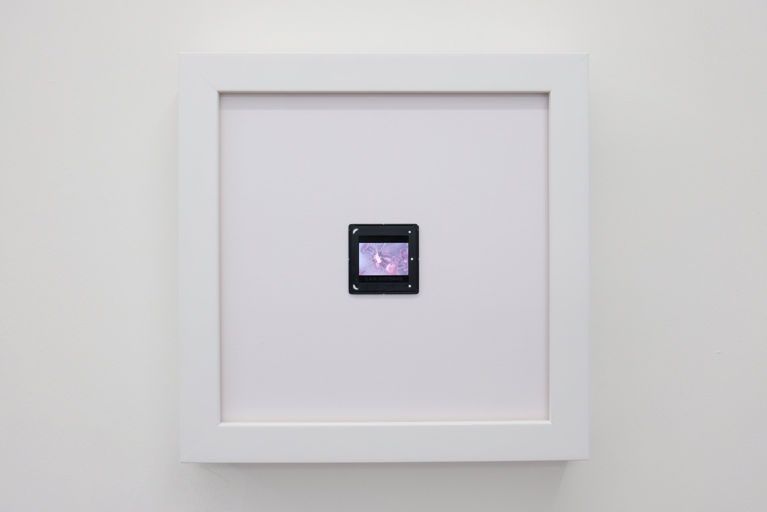 DSCF6853.jpg