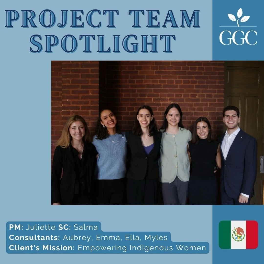This semester GGC is collaborating with a Mexico-based grassroots nonprofit operating in the Hidalgo region. Its mission is to empower rural and Indigenous women to address social, economic, and gender-based inequalities through community-driven deve