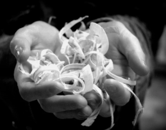 Hands-medium.jpg