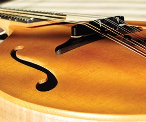Mandolin.jpg