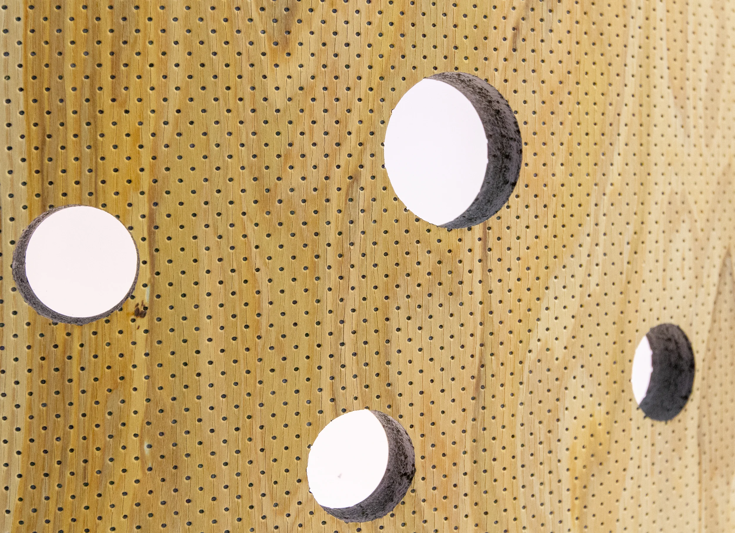 Org16- Acoustic Panels-7338.jpg
