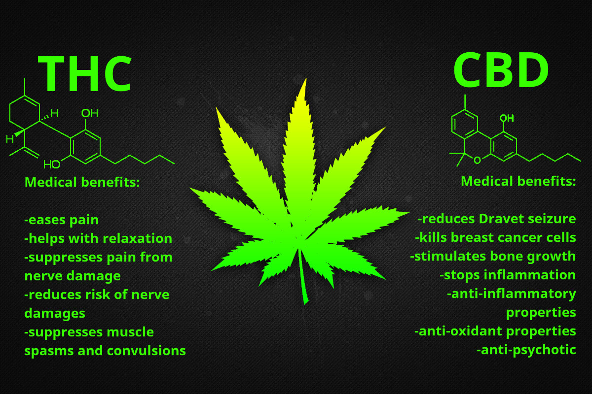 benefits-thc-cbd.jpg