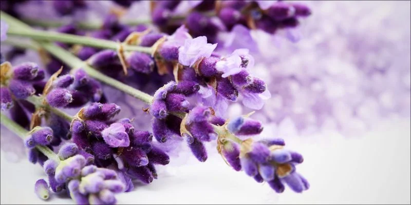 linalool.jpg