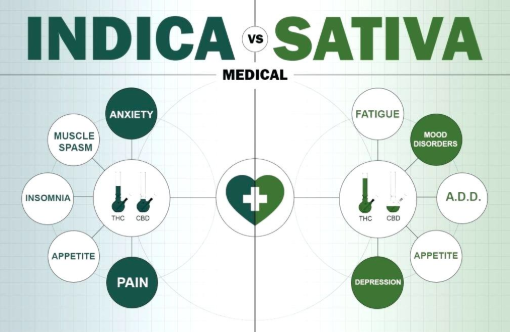 Indica Sativa Hybrid Chart