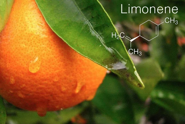 limonene2.jpg