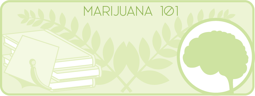 Marijuana 101.png