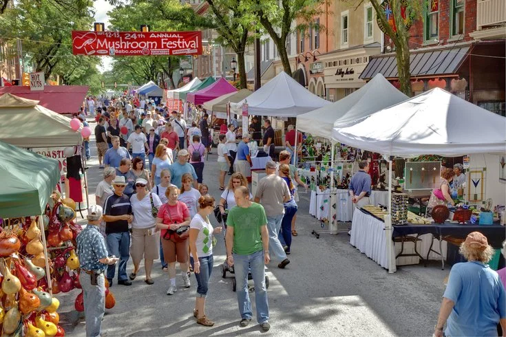 Mushroom_Festival.2e16d0ba.fill-735x490.jpg