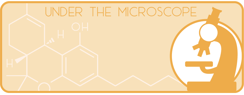 UnderTheMicroscop.png