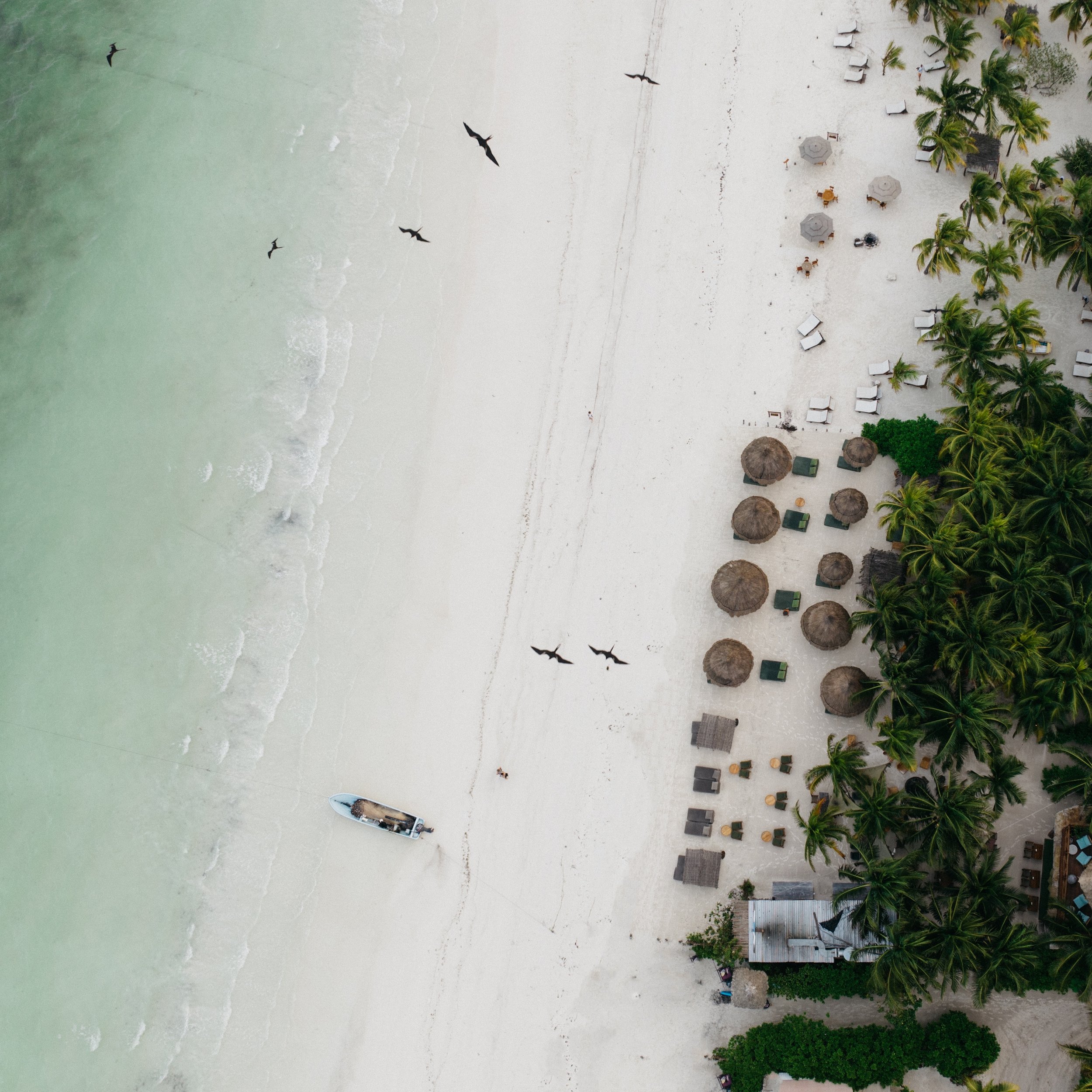 H o l b o x 🌴 I s l a n d 
Magical place where the sea and land intertwine 🌤️
Marine sanctuary surrounded by palm trees, mangroves, and dazzling skies that gift unforgettable sunsets 🏝️🦀

We await you!

.
.

Lugar m&aacute;gico donde el mar y la 