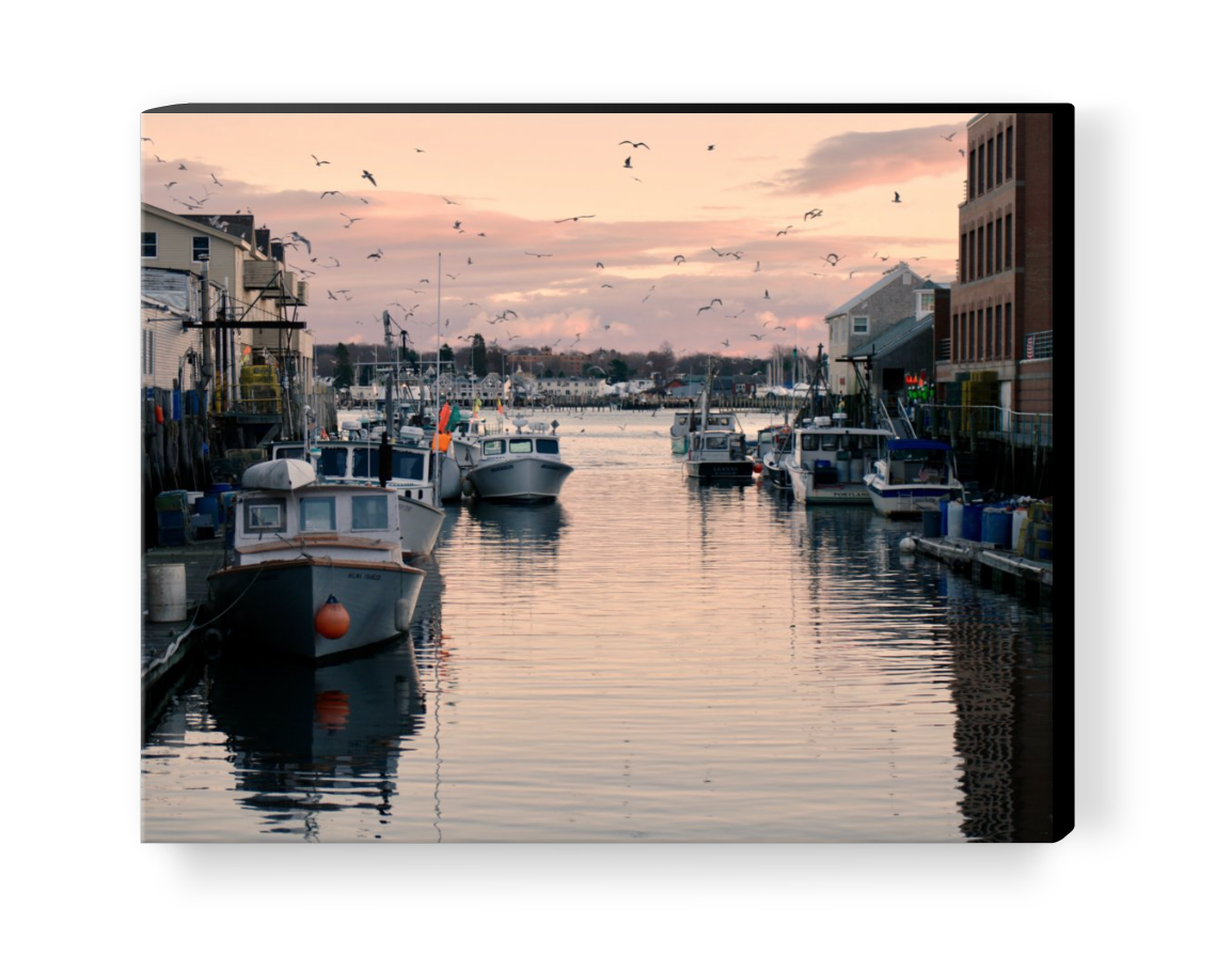 Screen Shot 2017-09-09 at 11.41.50 PM.png