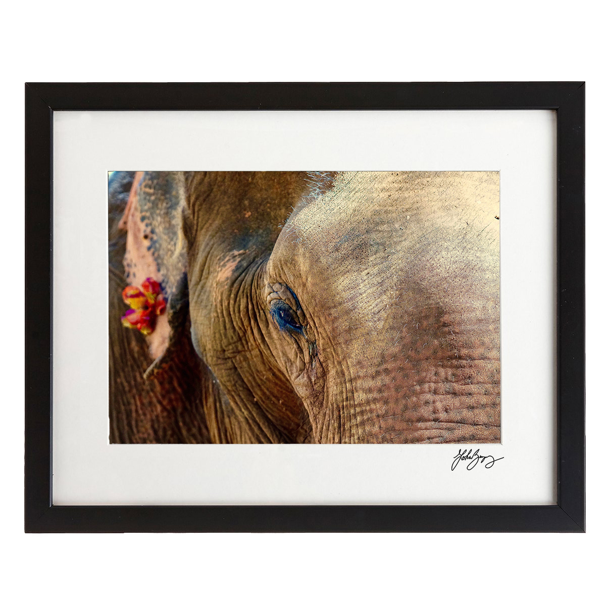 elephantframe.jpg