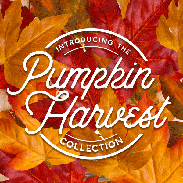 pumpkin_harvest_email.gif