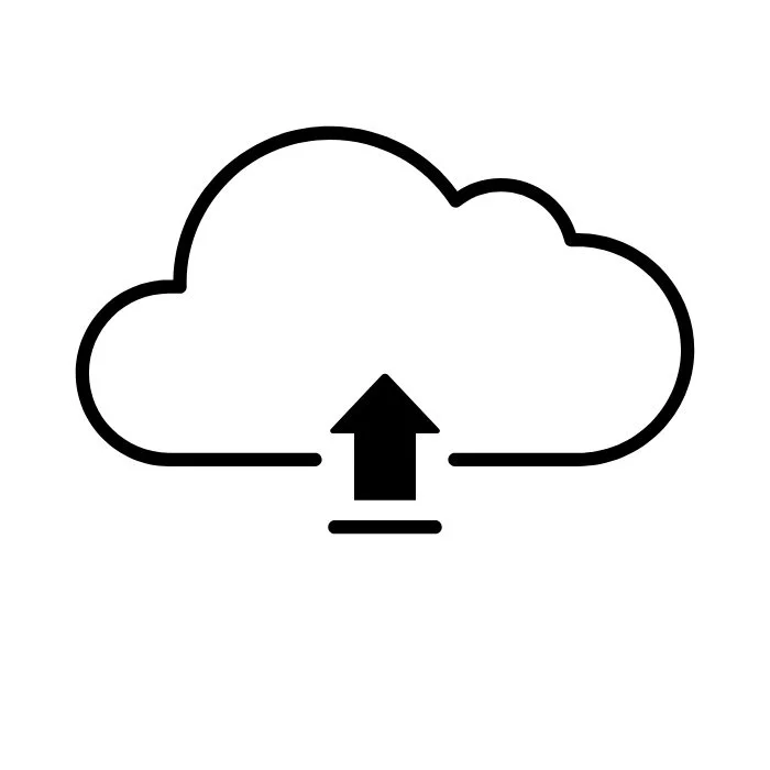 Digital File (One Time Use)