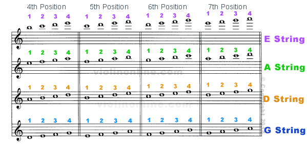 bottom_positions3a.gif