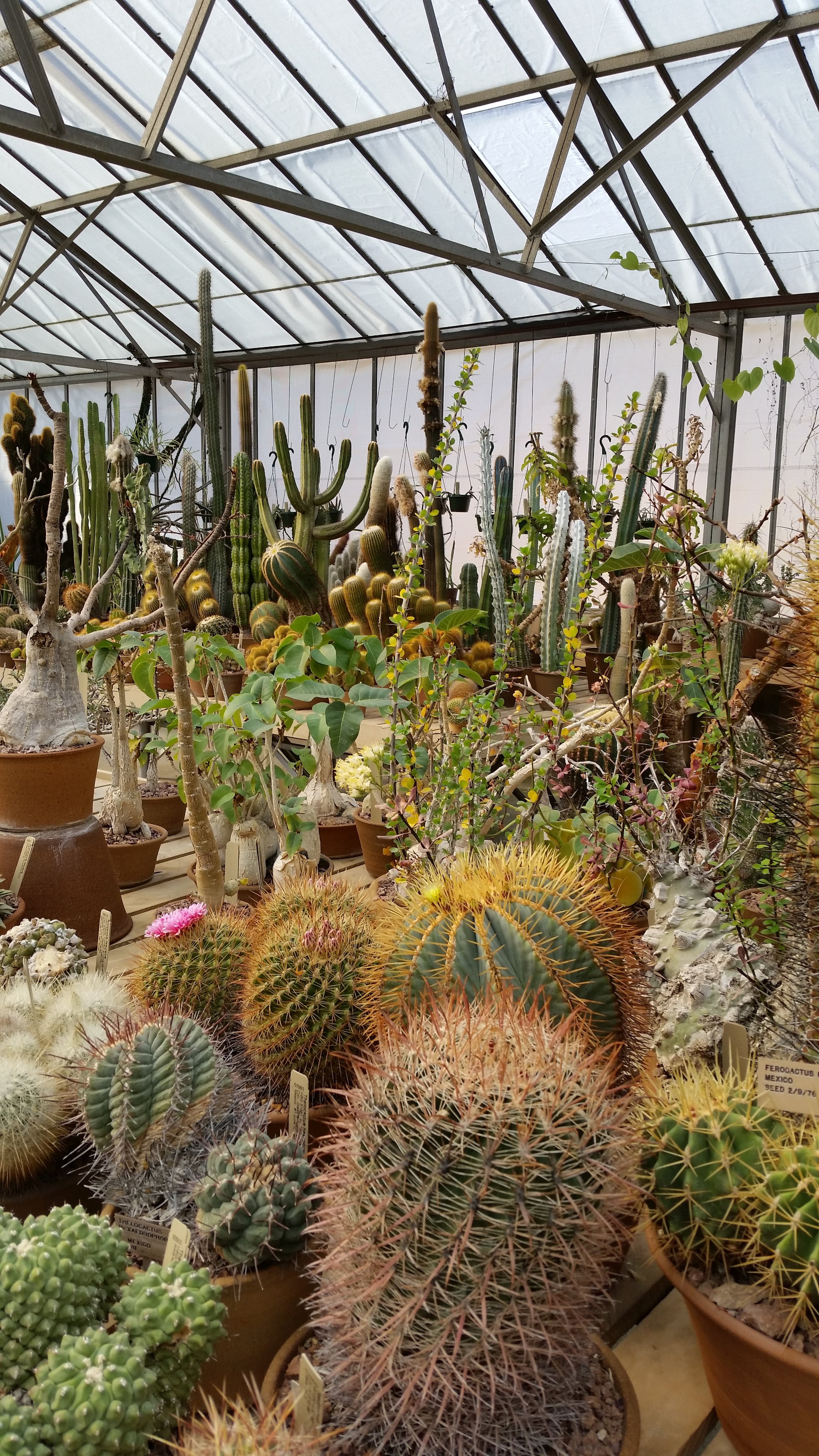 Huntingtondesertgreenhouse.jpg