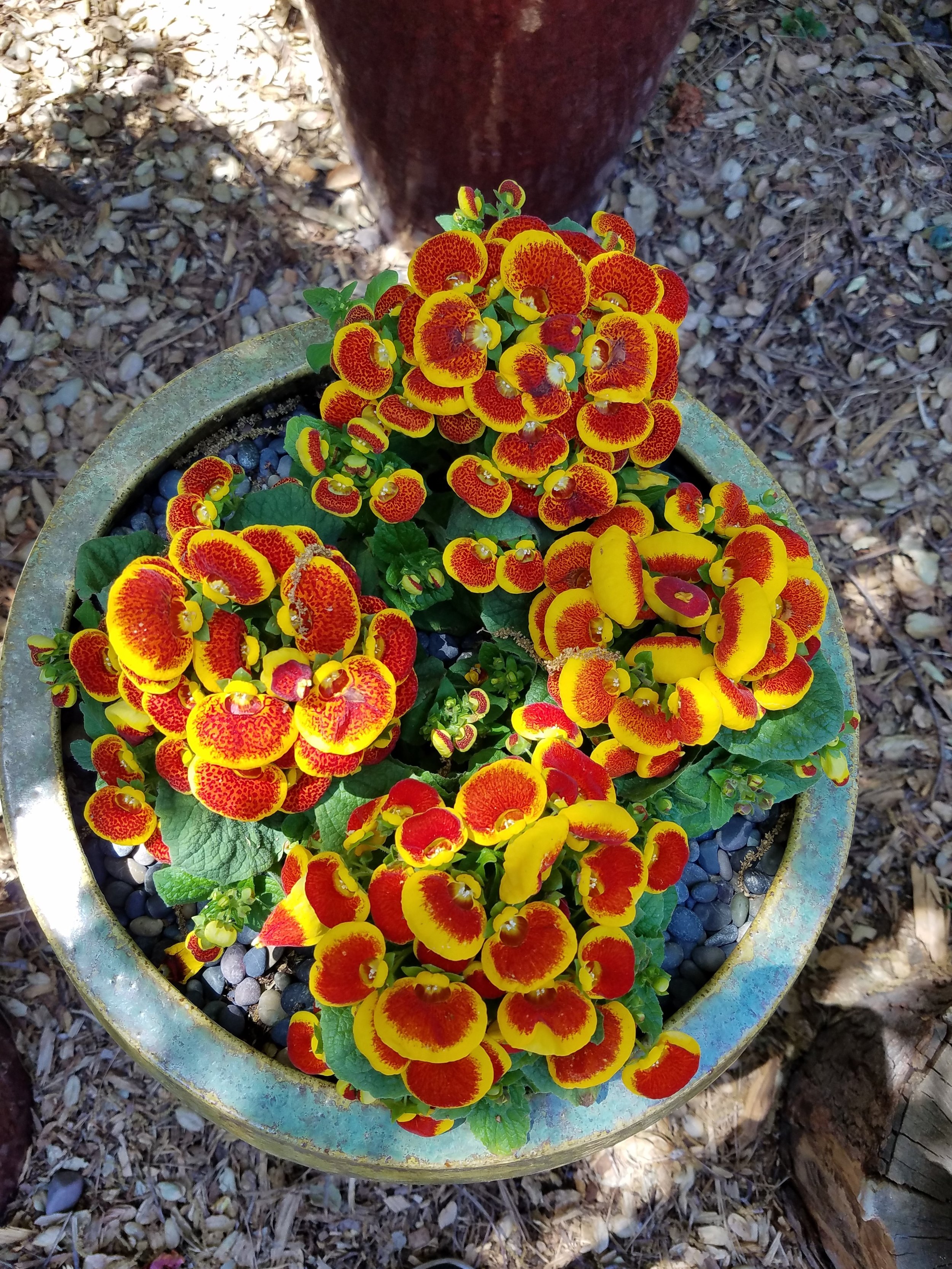20180509_124417.jpg