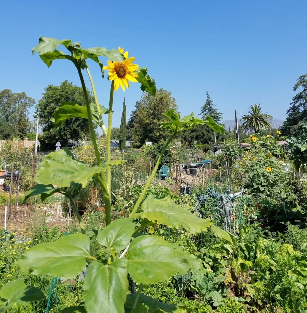 20180628_102418.jpg