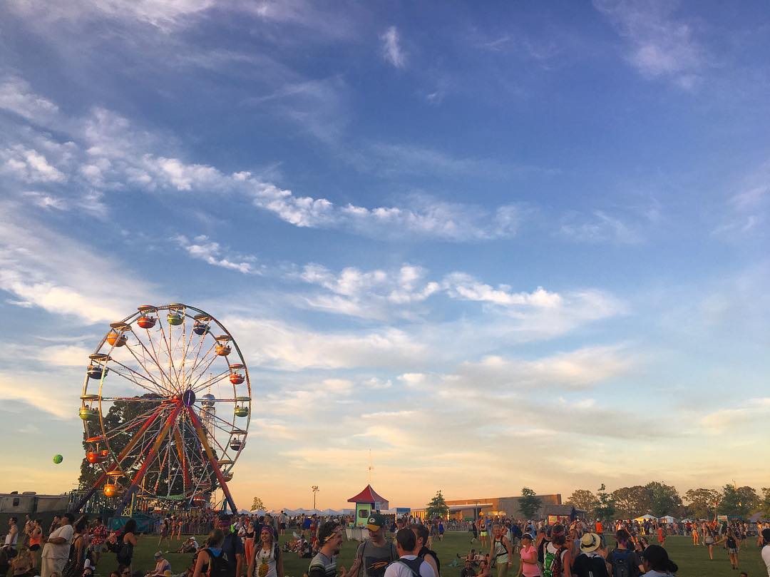 One of my many Bonnaroo pictures