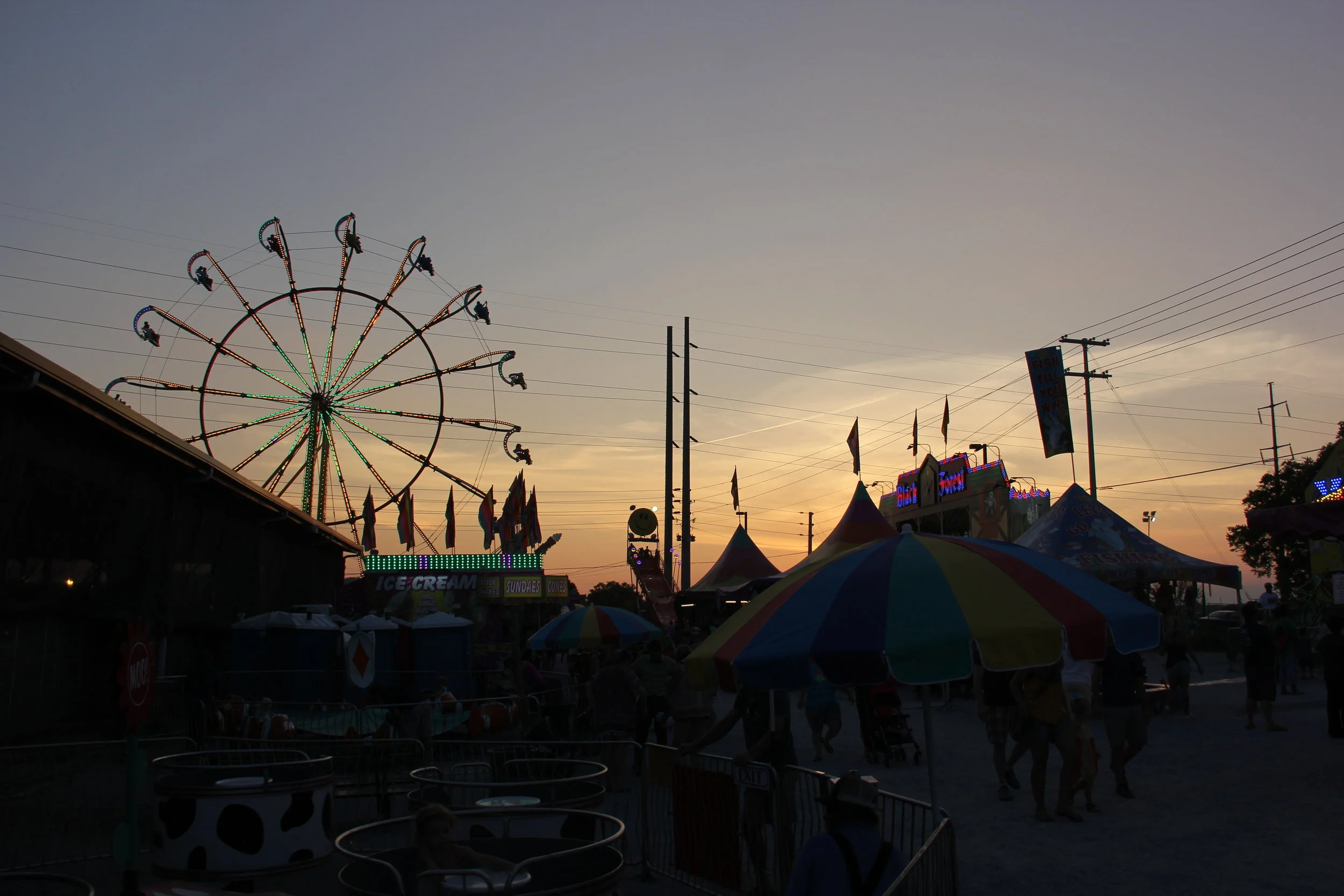 Williamson County Fair was the Best-Ever in 2017