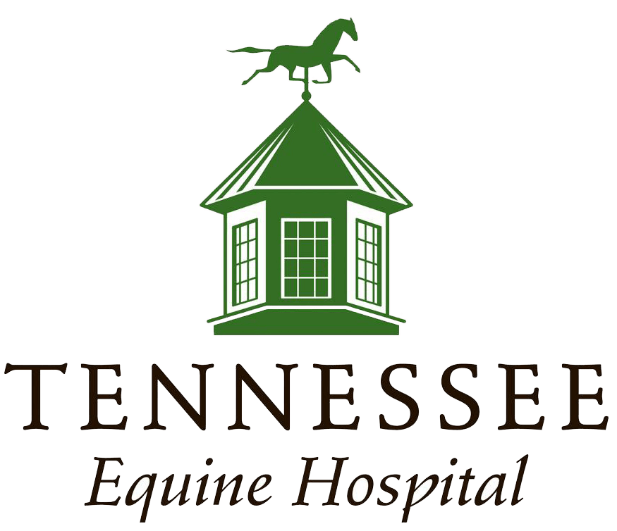 Tennessee Equine Hospital