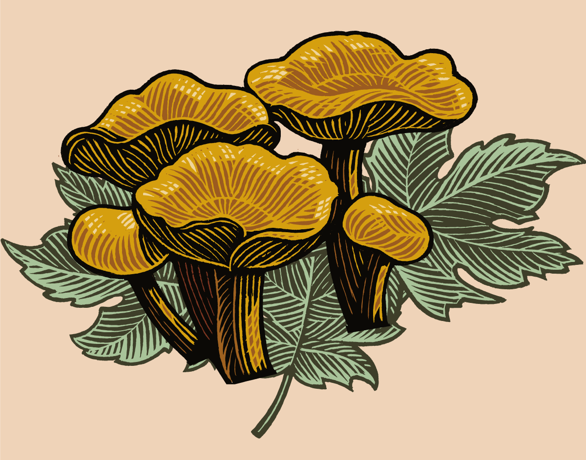 award_header_uncommon.png