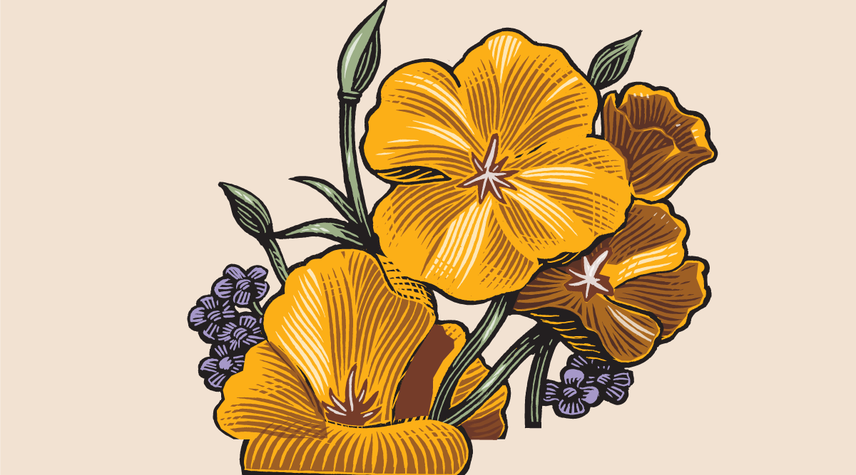contact_header_uncommon.png