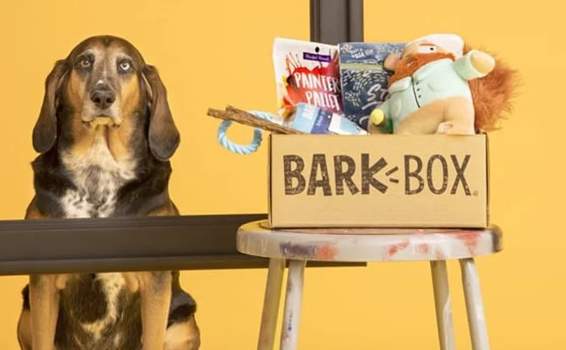 BarkBox’s Growth Strategy: 8 Keys to its Success
