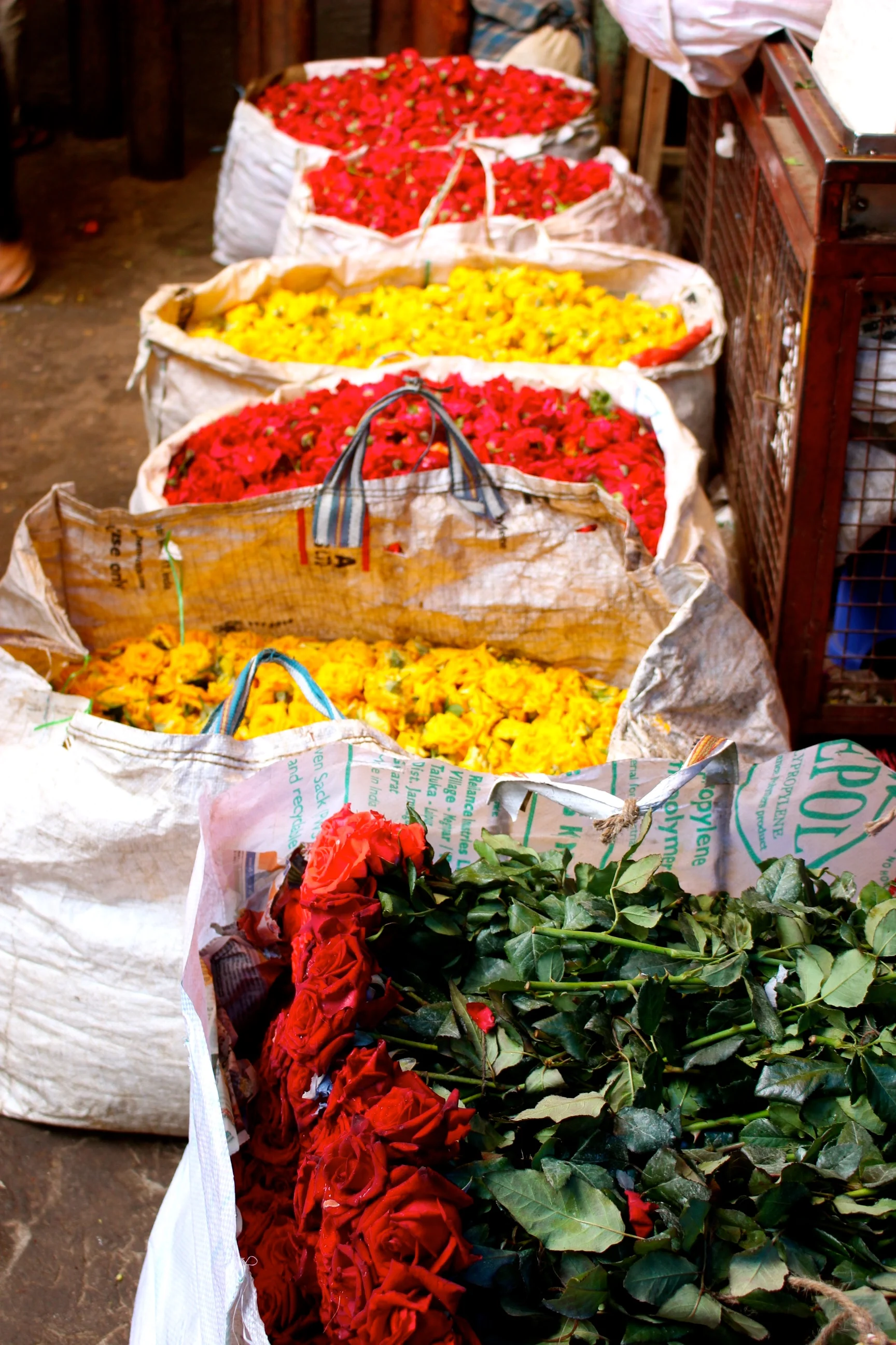 fleurs-inde-devaraja-market-mysore.jpg