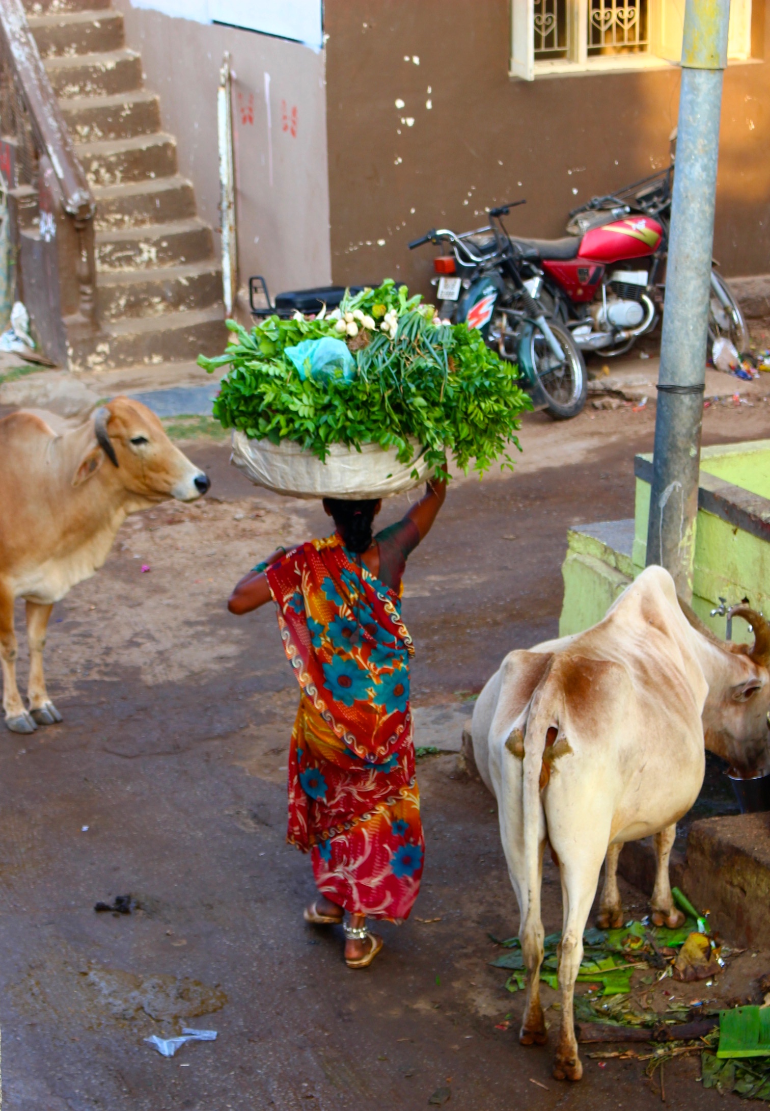 village-hampi-cookmegreen