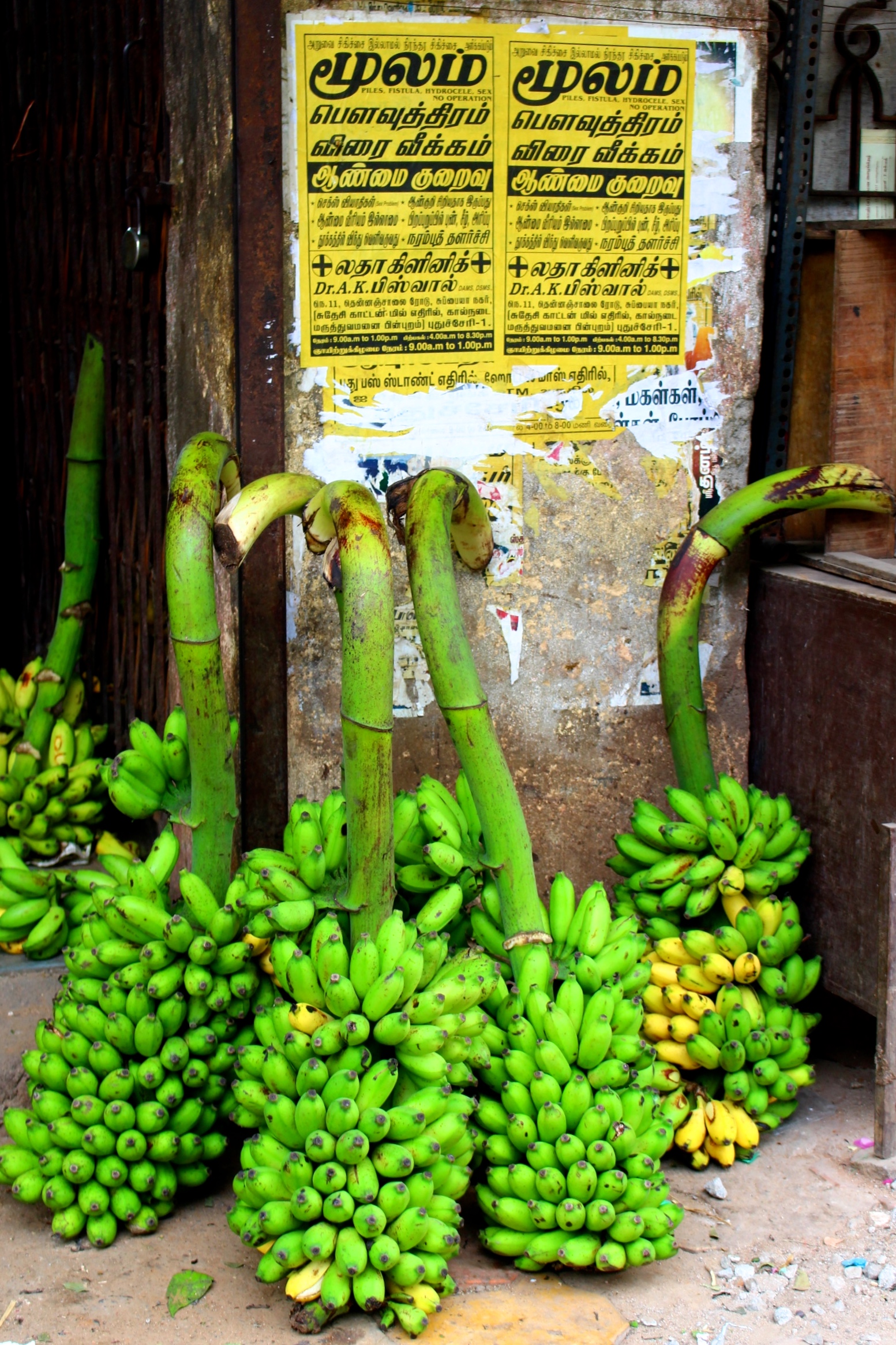 regimes-bananes-goubert-market-pondichery