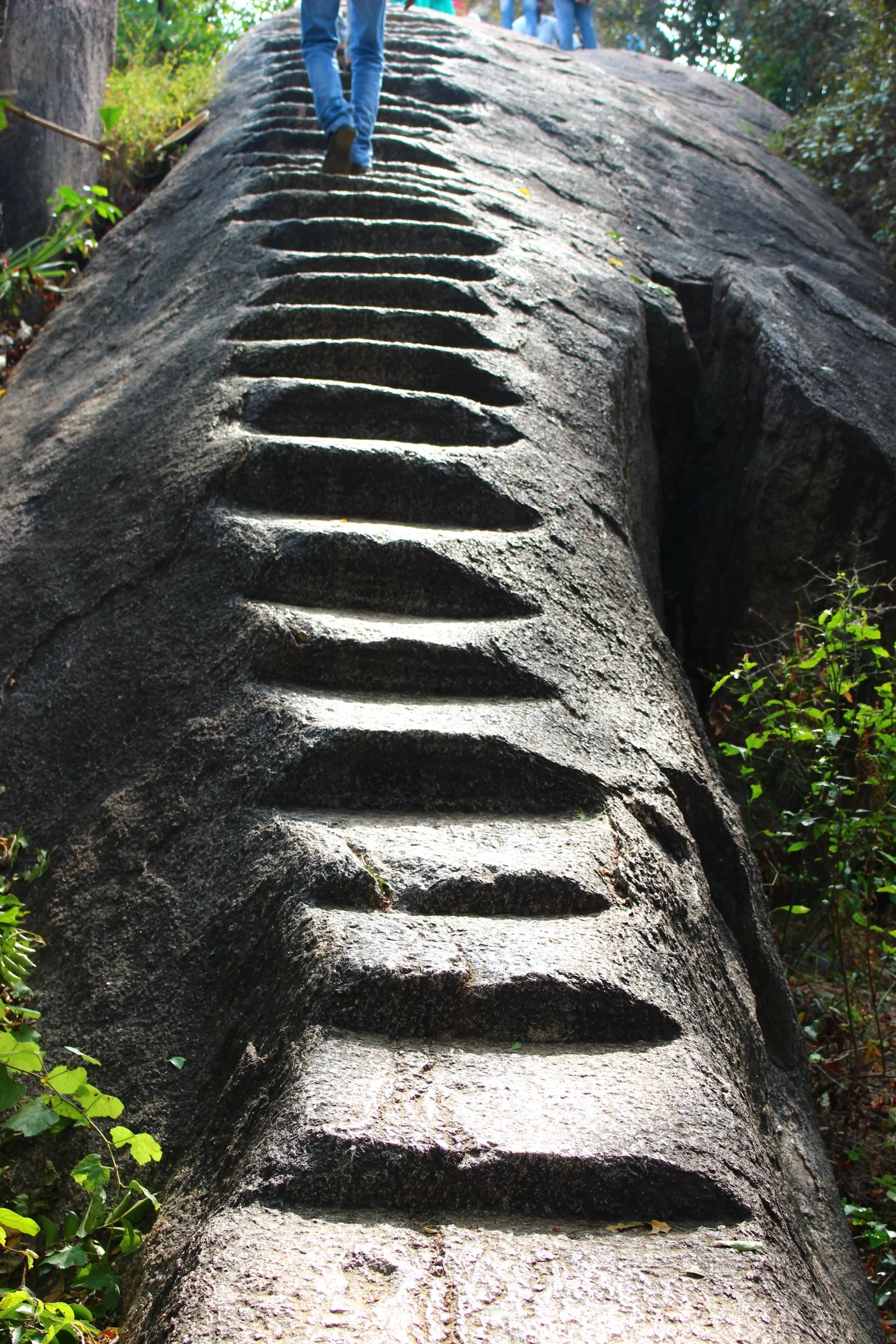carnet-voyage-inde-du-sud-mahabalipuram.jpg