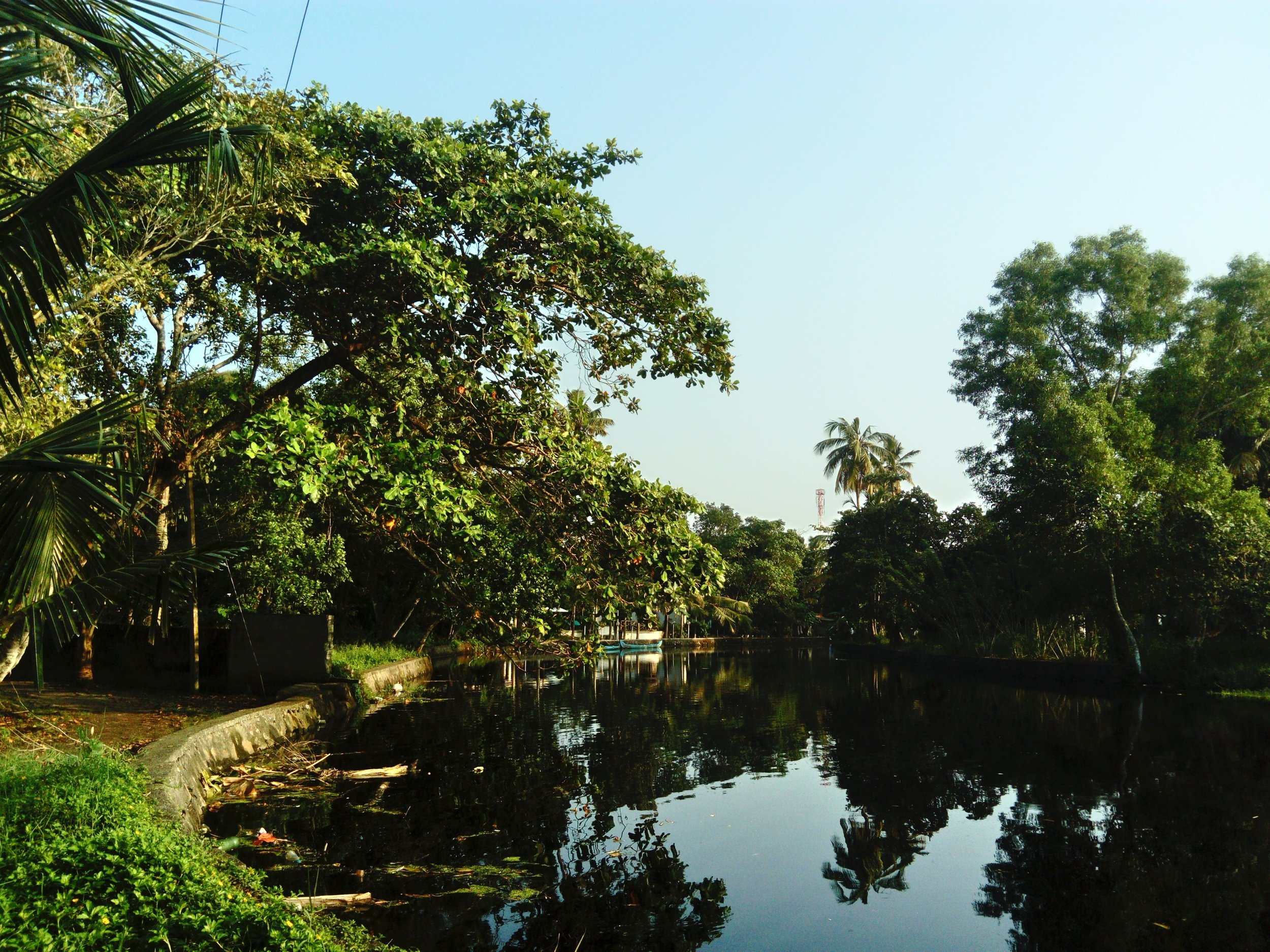 backwaters-marari-beach-kerala