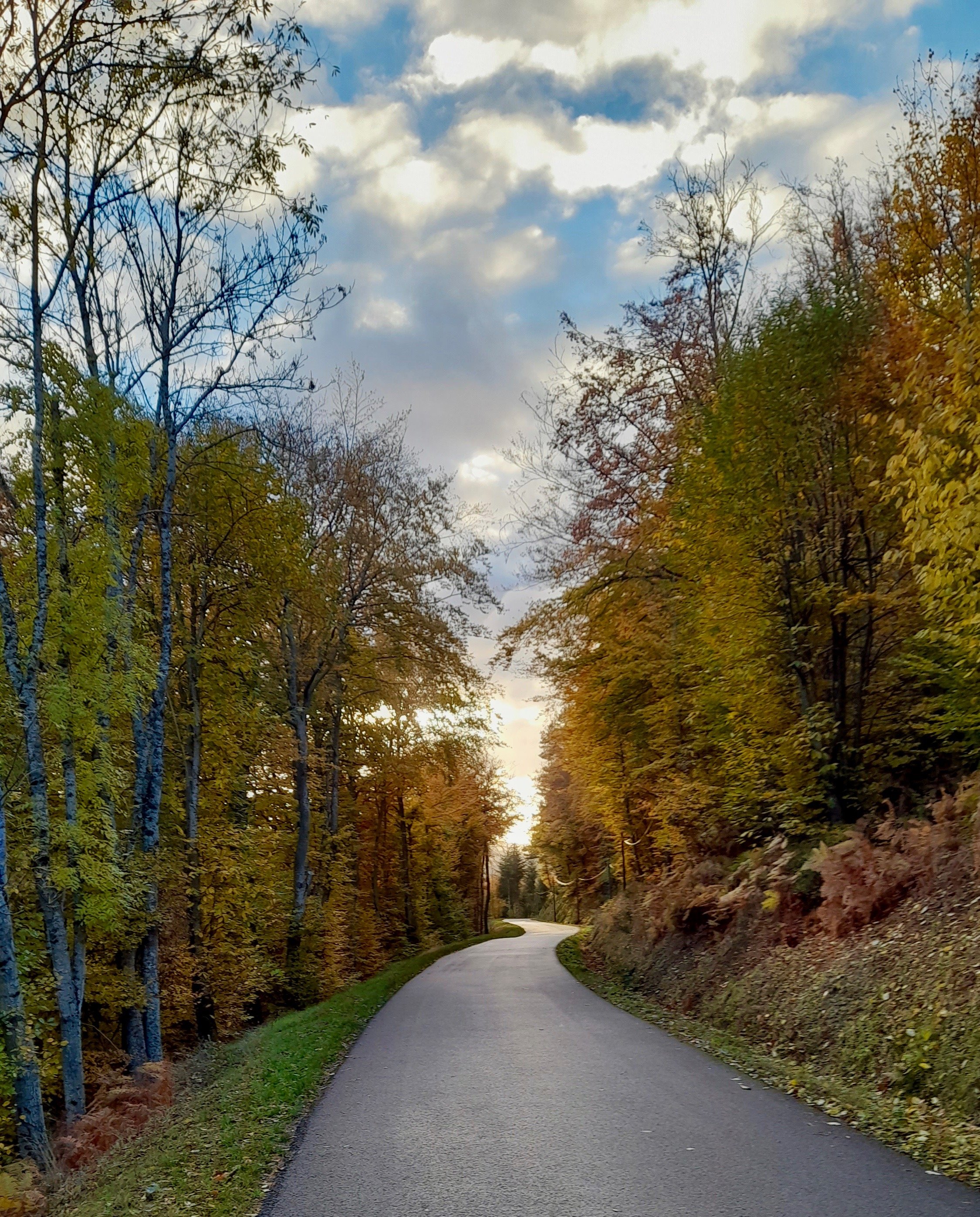 route-rochepaule -nature-bien-etre-alimentation-ardeche-st-bonnet-le-froid.jpg