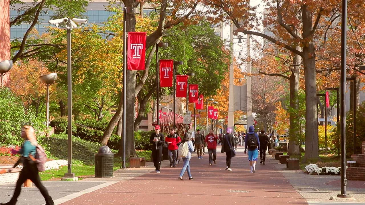 spotlight-temple-university.jpg