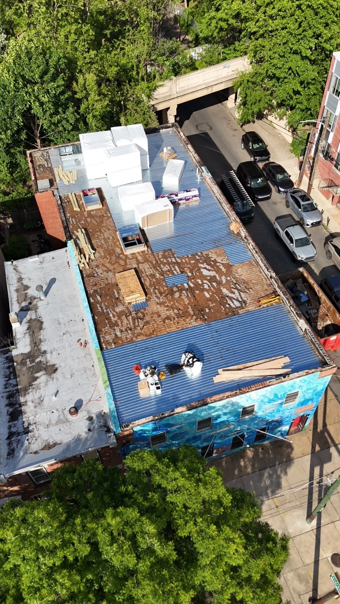 UPDATE 30 - Framing &amp; the Roof