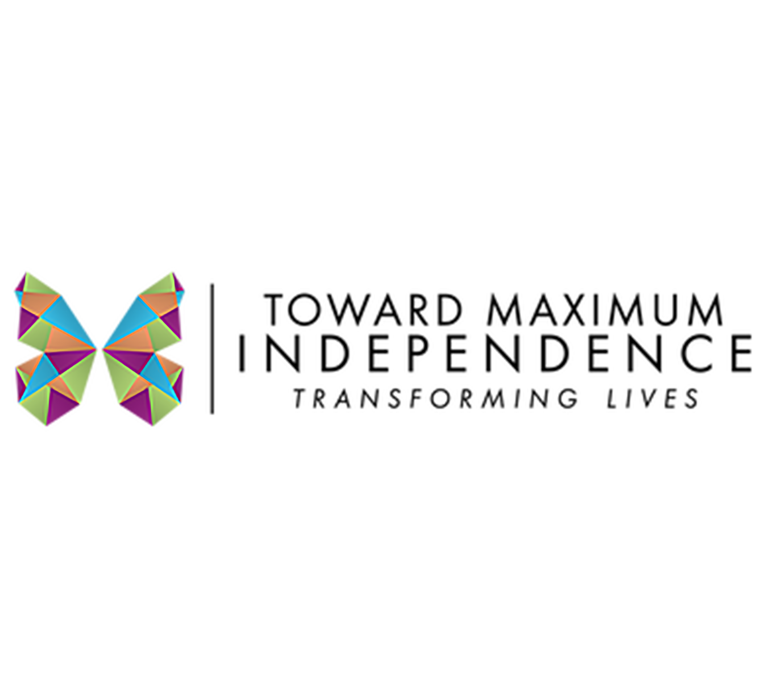 TMI Logo.png