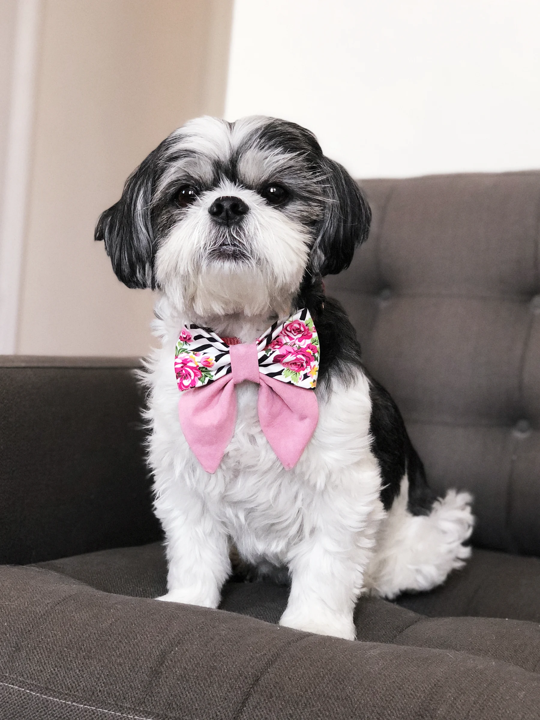 OhHoneyBear_Summer_2018_sailorbow-3-honey.jpg