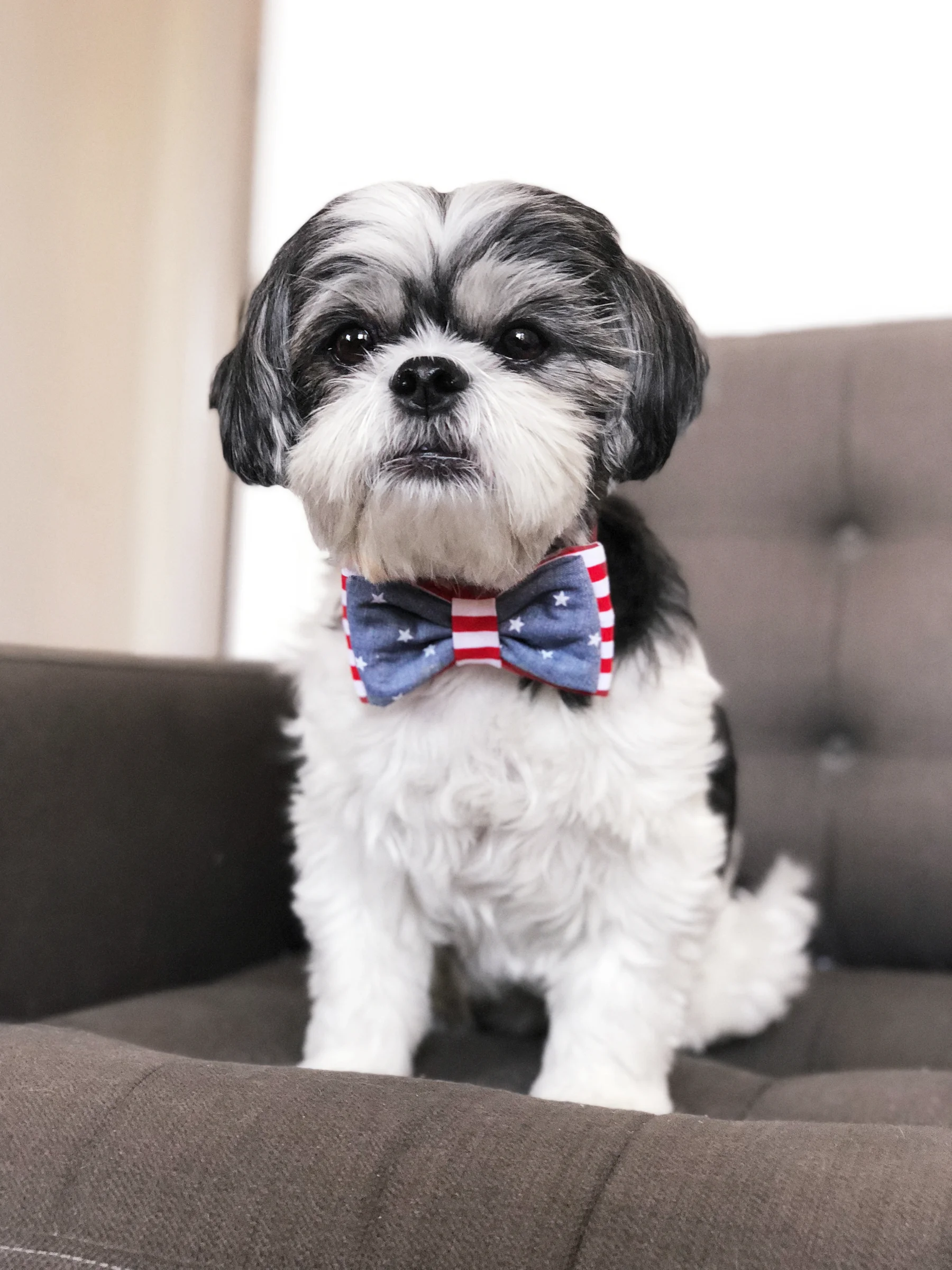 OhHoneyBear_Summer_2018_bowtie-2-honey.jpg