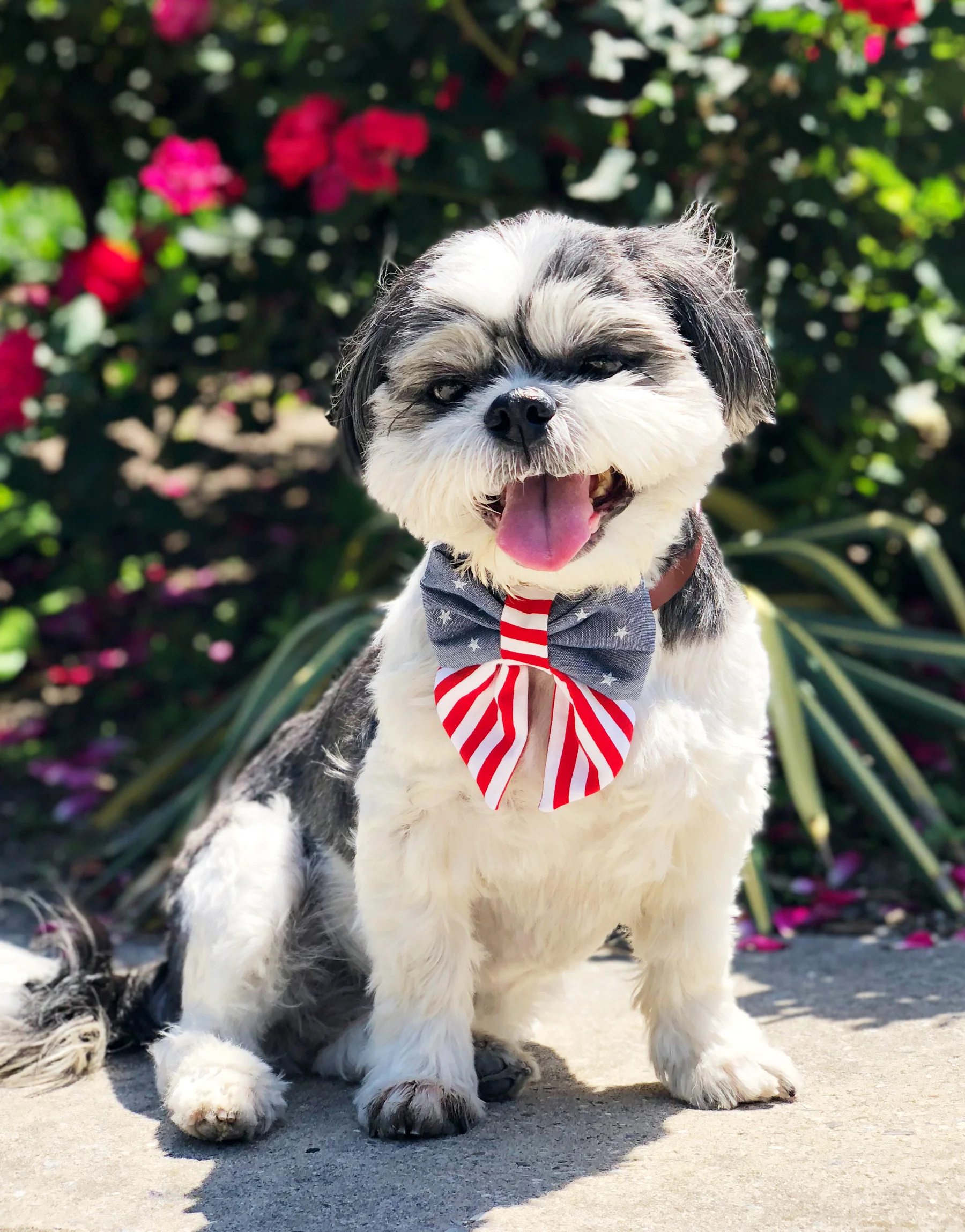 OhHoneyBear_Summer_2018_sailorbow-4-honey.jpg
