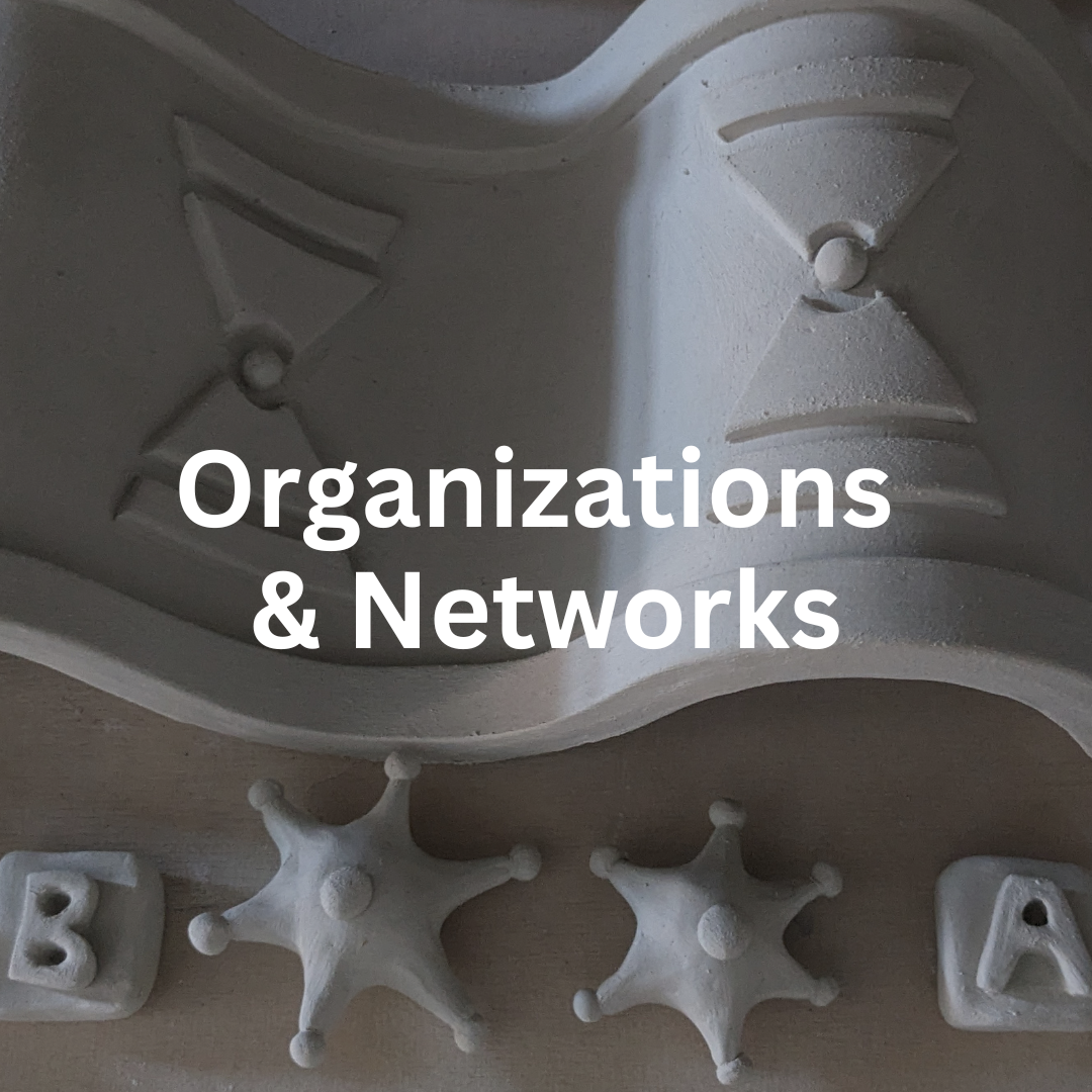 Organizations &amp; Networks