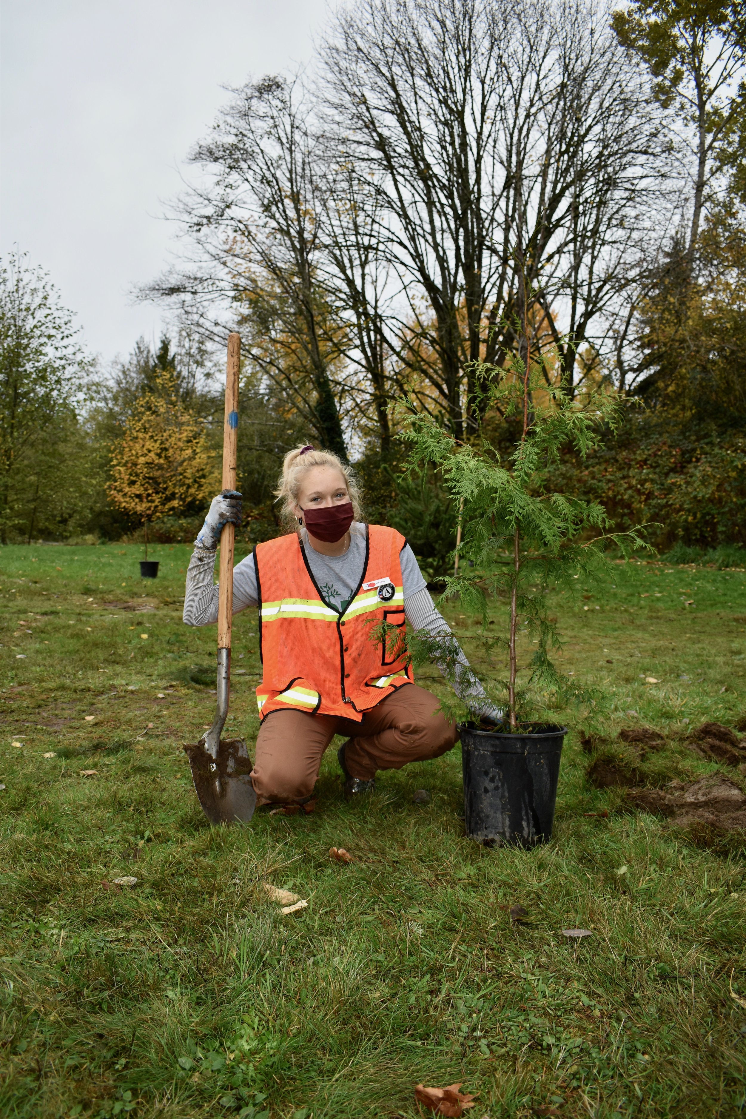 TreePlanting12.jpeg