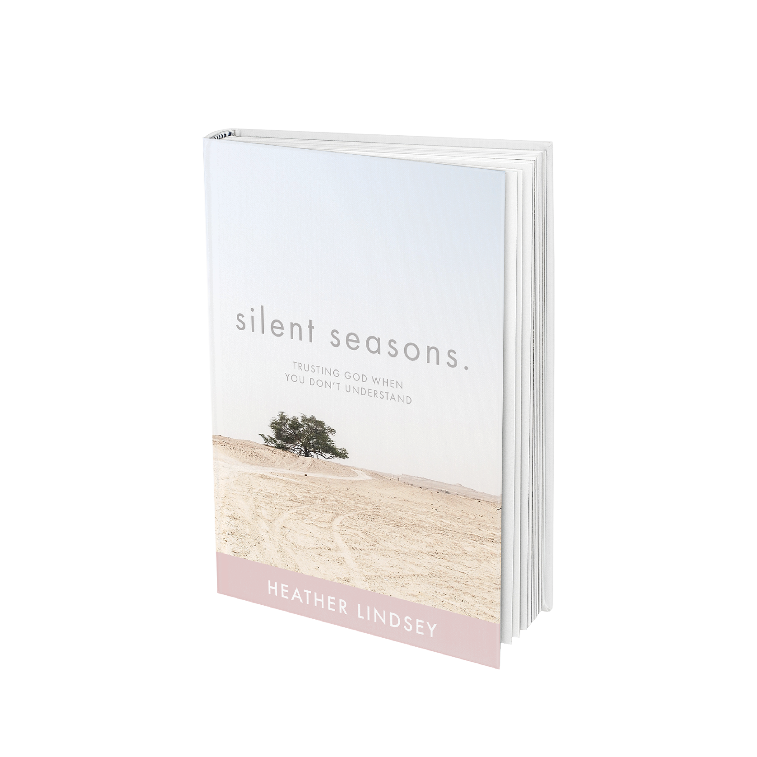 Silent Seasons Book Stand Alone Image.png