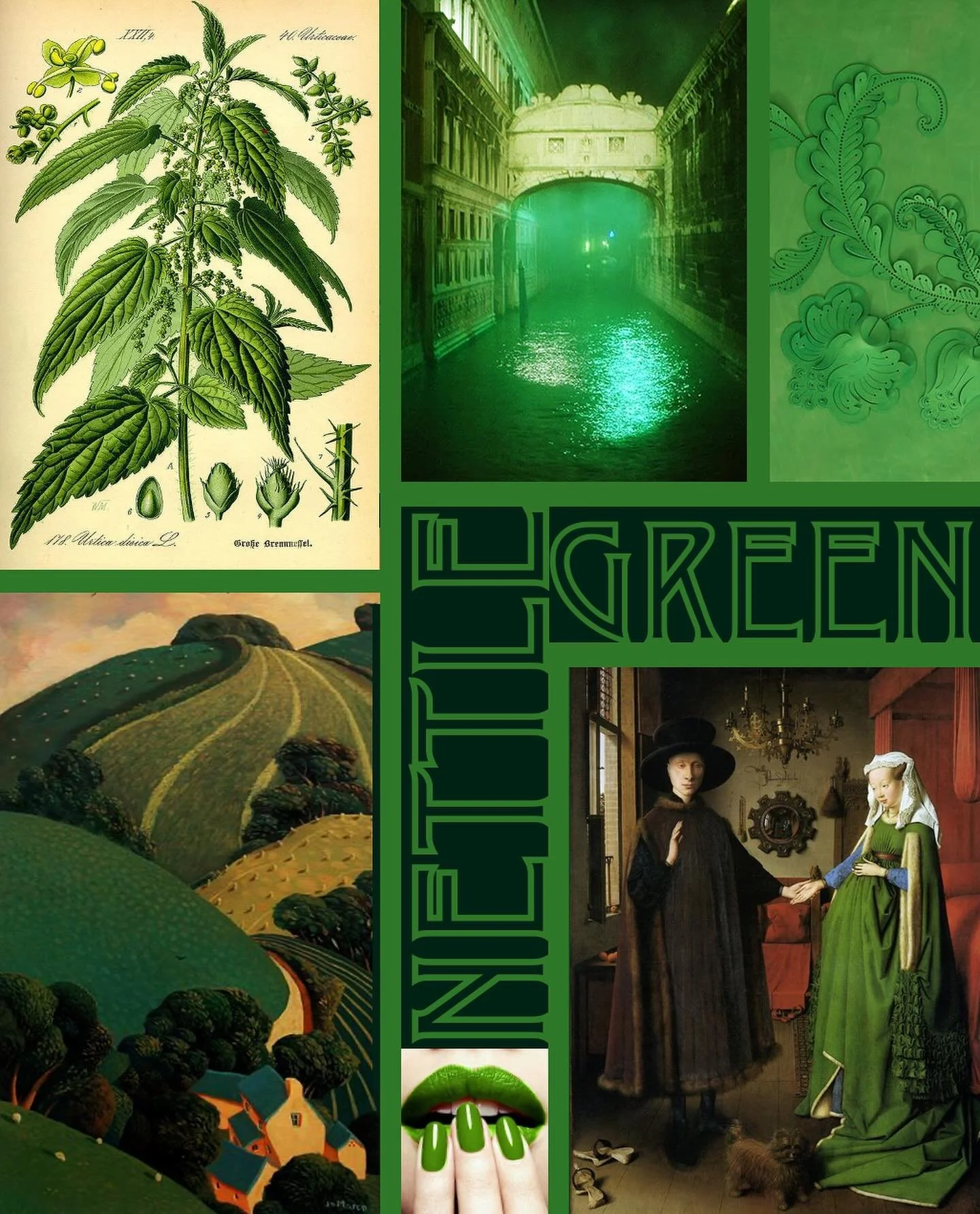 NETTLE GREEN

Abundantly Lush and positively poisonous our Nettle green is associated with the symbol of fertility and happiness, paradise, nature, life, health, youth, spring, hope, and envy.

Dictionary definition:

1. of the colour between cyan an