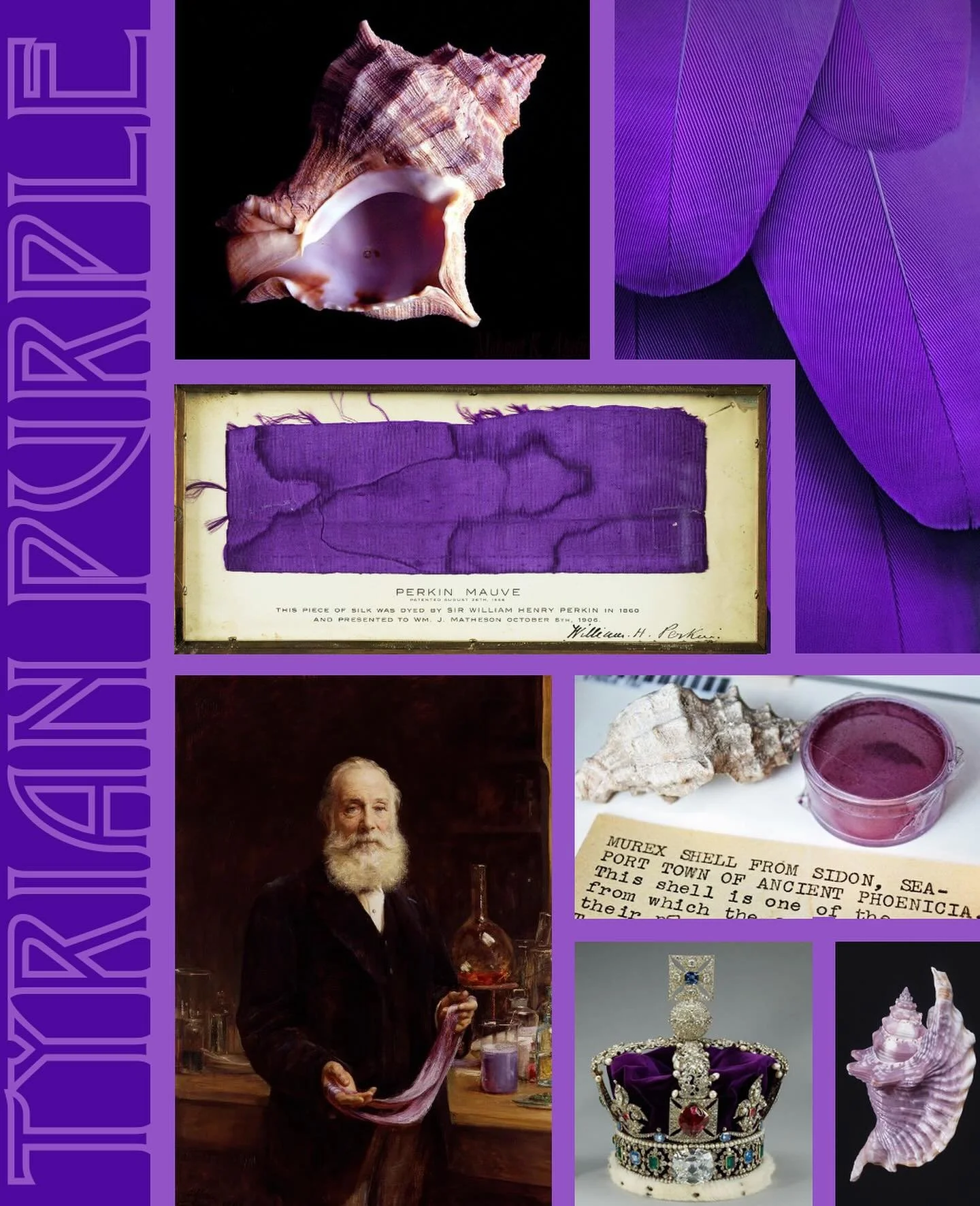 TYRIAN PURPLE

Majestic and enchanting our Tyrian purple is associated with rarity, royalty, luxury, ambition, magic, mystery, spirituality, eroticism, femininity and seduction.

Dictionary definition:

1. a dye extracted from Murex sea snail shells.