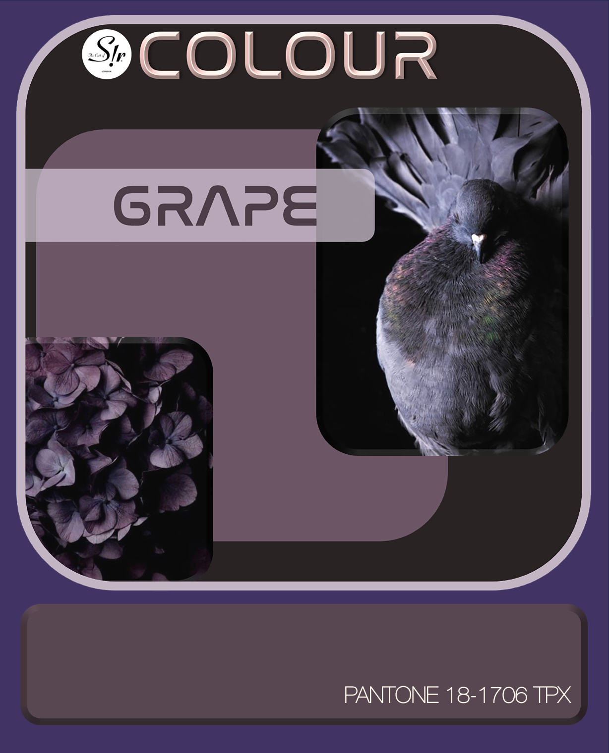 Screenshot 2023-07-26 at 16.09.17.png