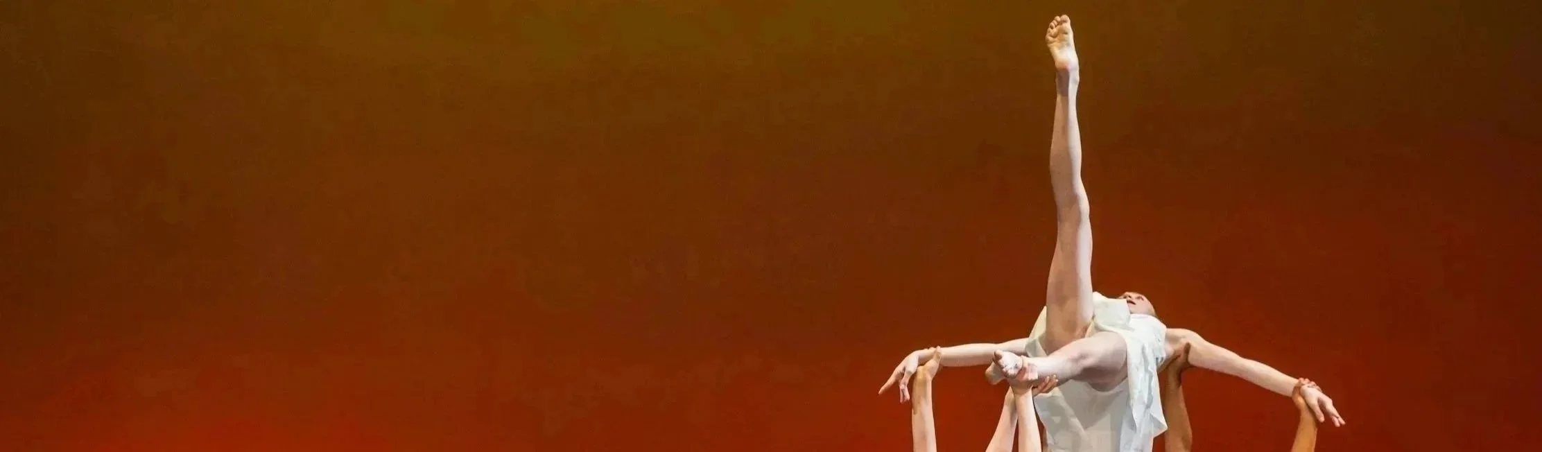 CAPAS Showcase 11am-863.jpg