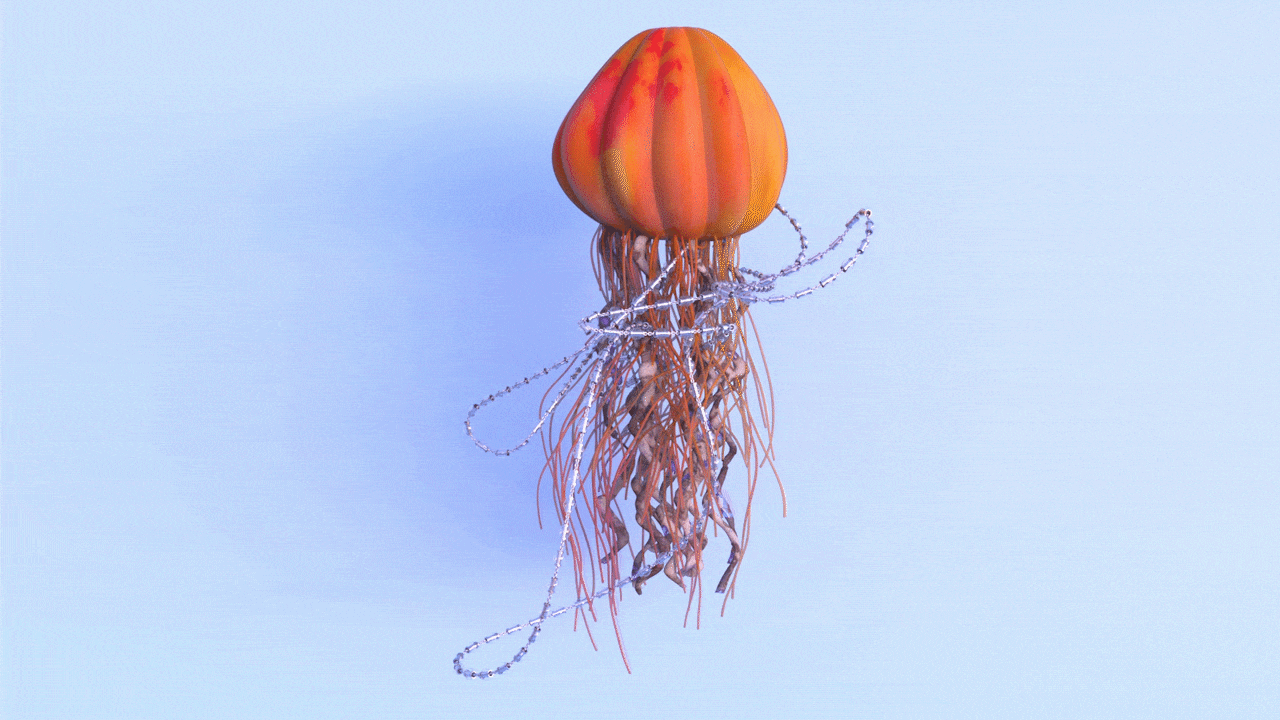 single jelly compress GIF.gif