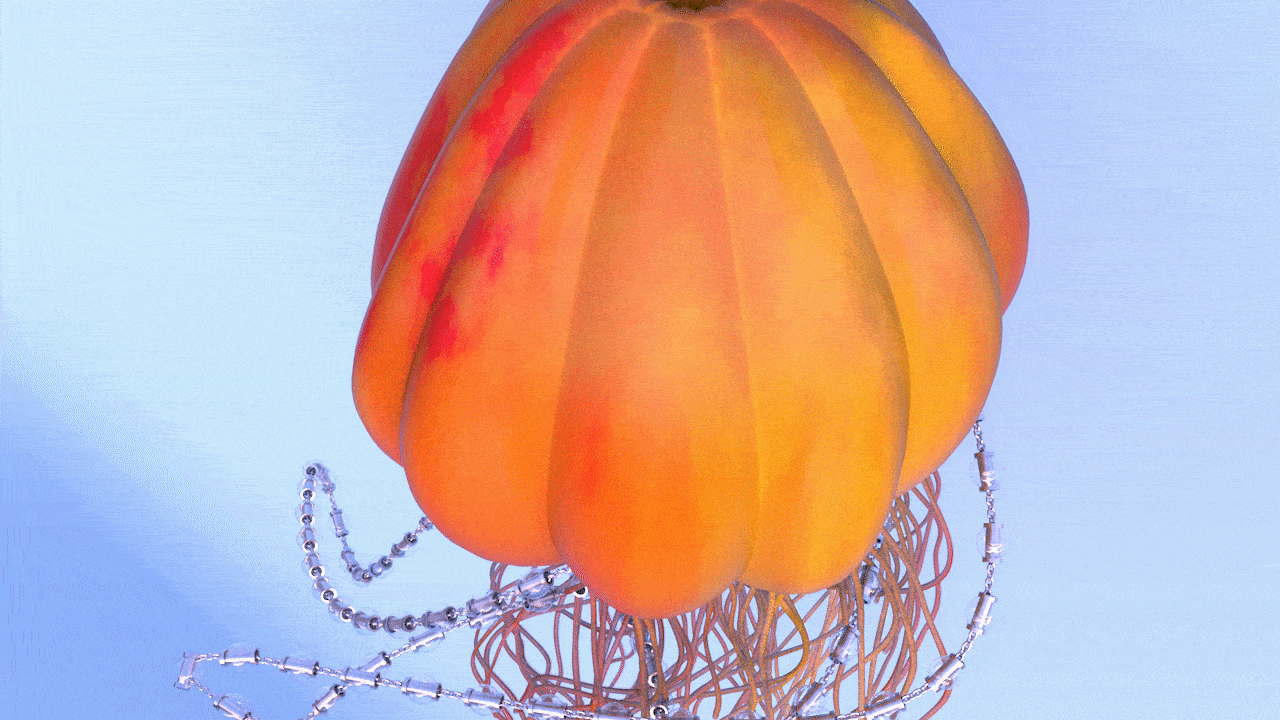 jelly top gif compressed.gif