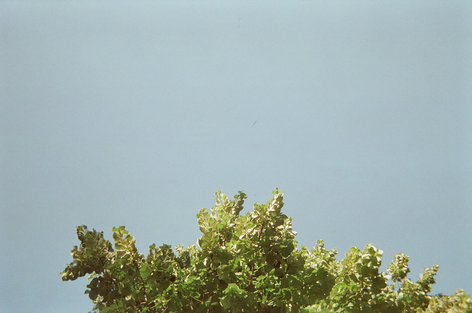 08210005.JPG